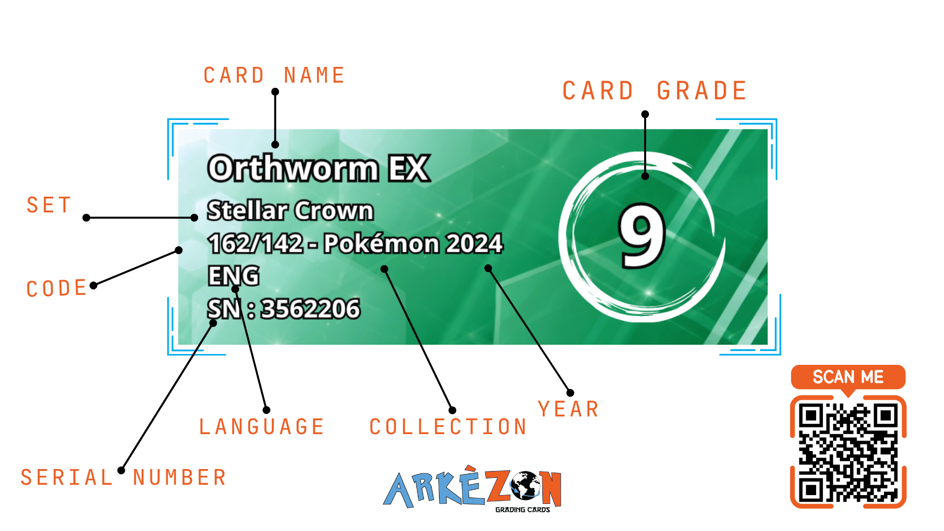 3562206 - Orthworm EX - 162/142 - 9