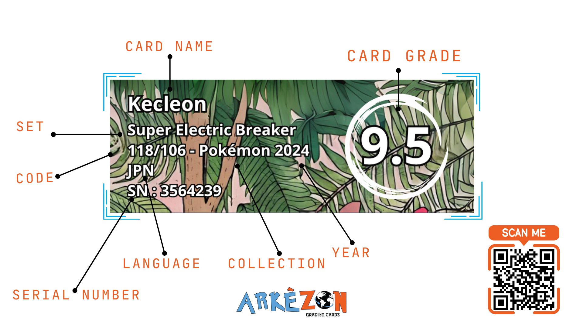 3564239 - Kecleon - 118/106 - 9.5