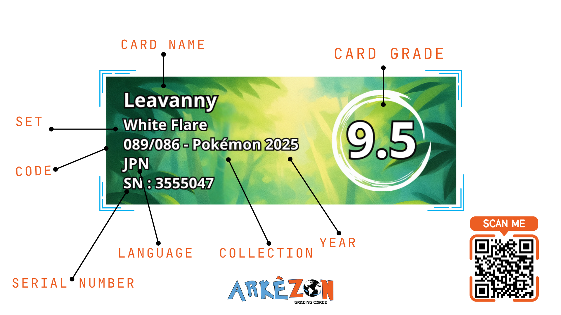 3555047 - Leavanny - 089/086 - 9.5