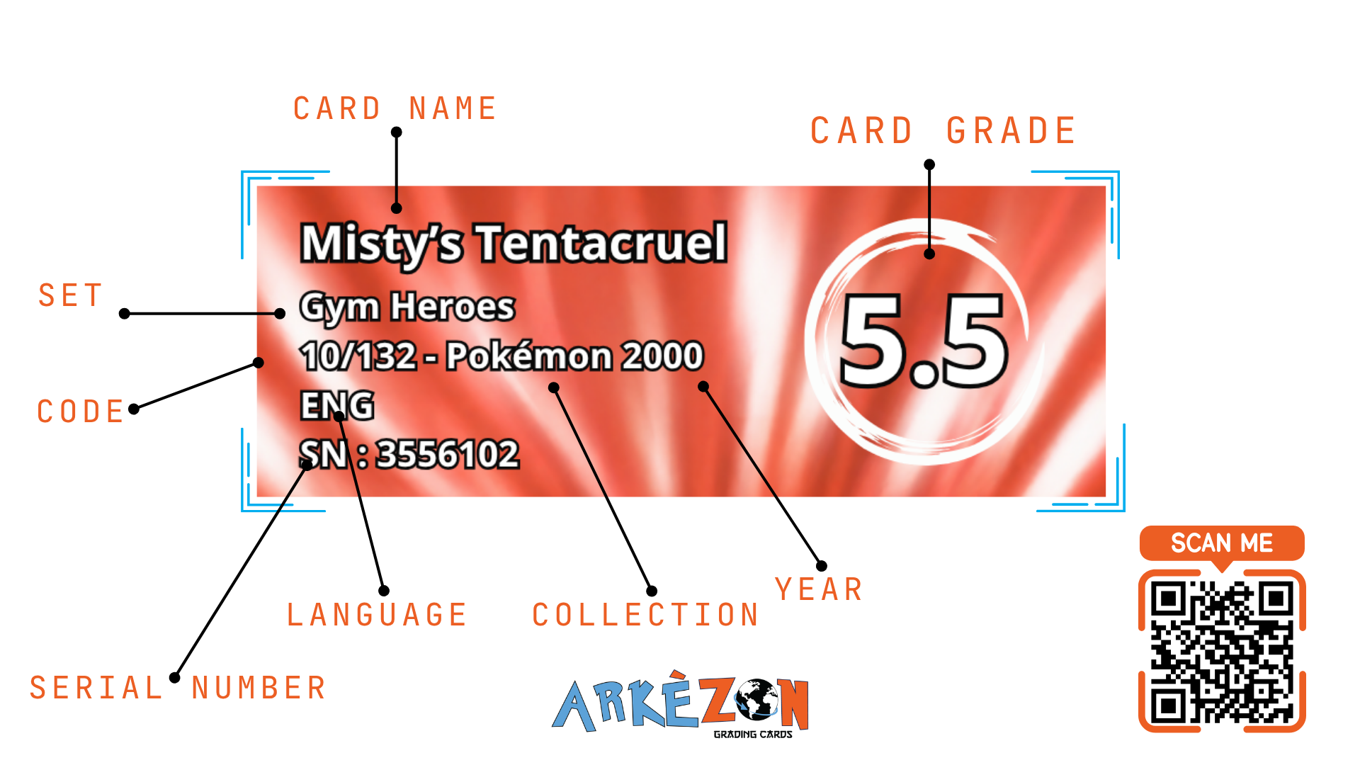 3556102 - Misty’s Tentacruel - 10/132 - 5.5