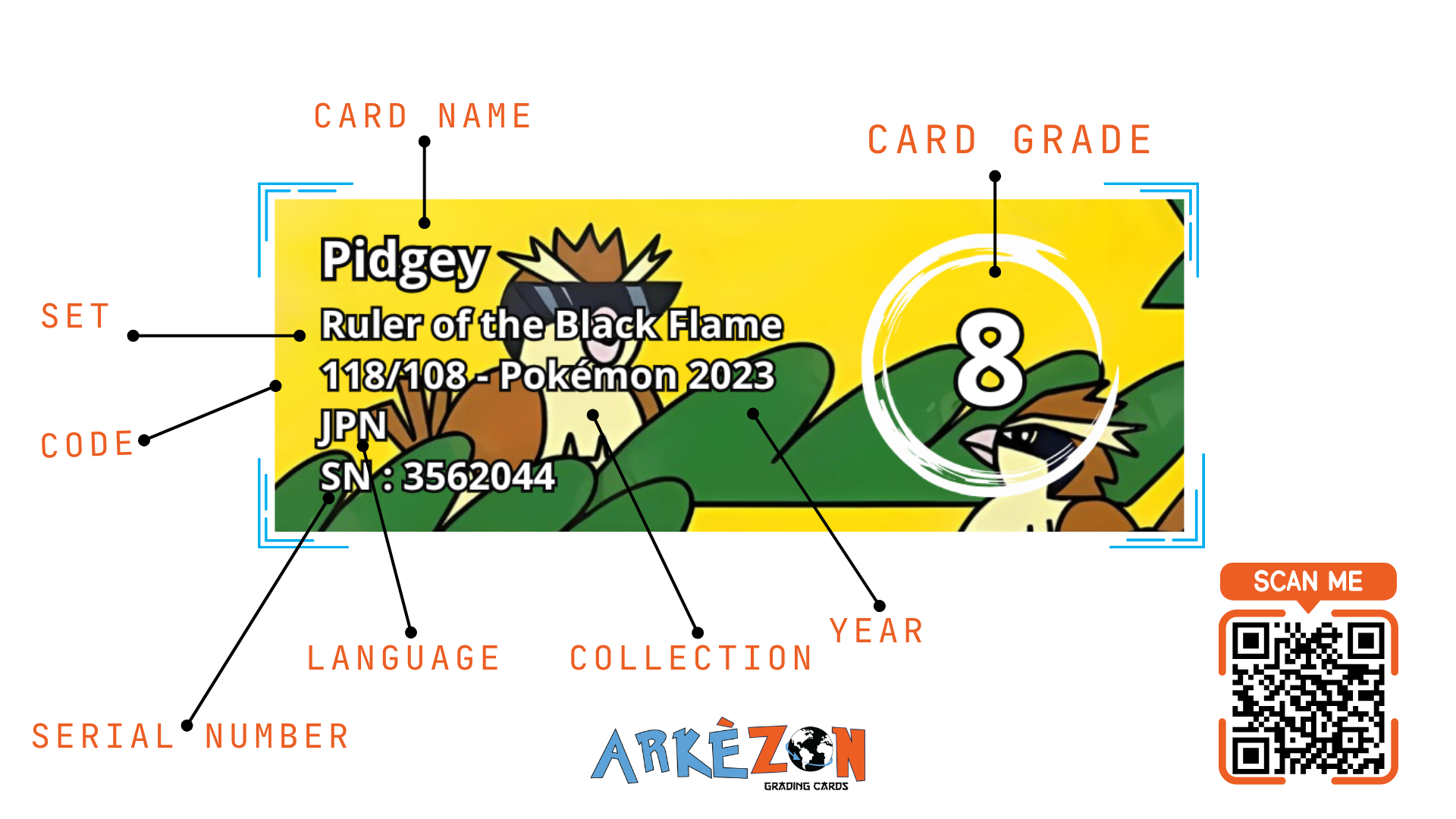 3562044 - Pidgey - 118/108 - 8