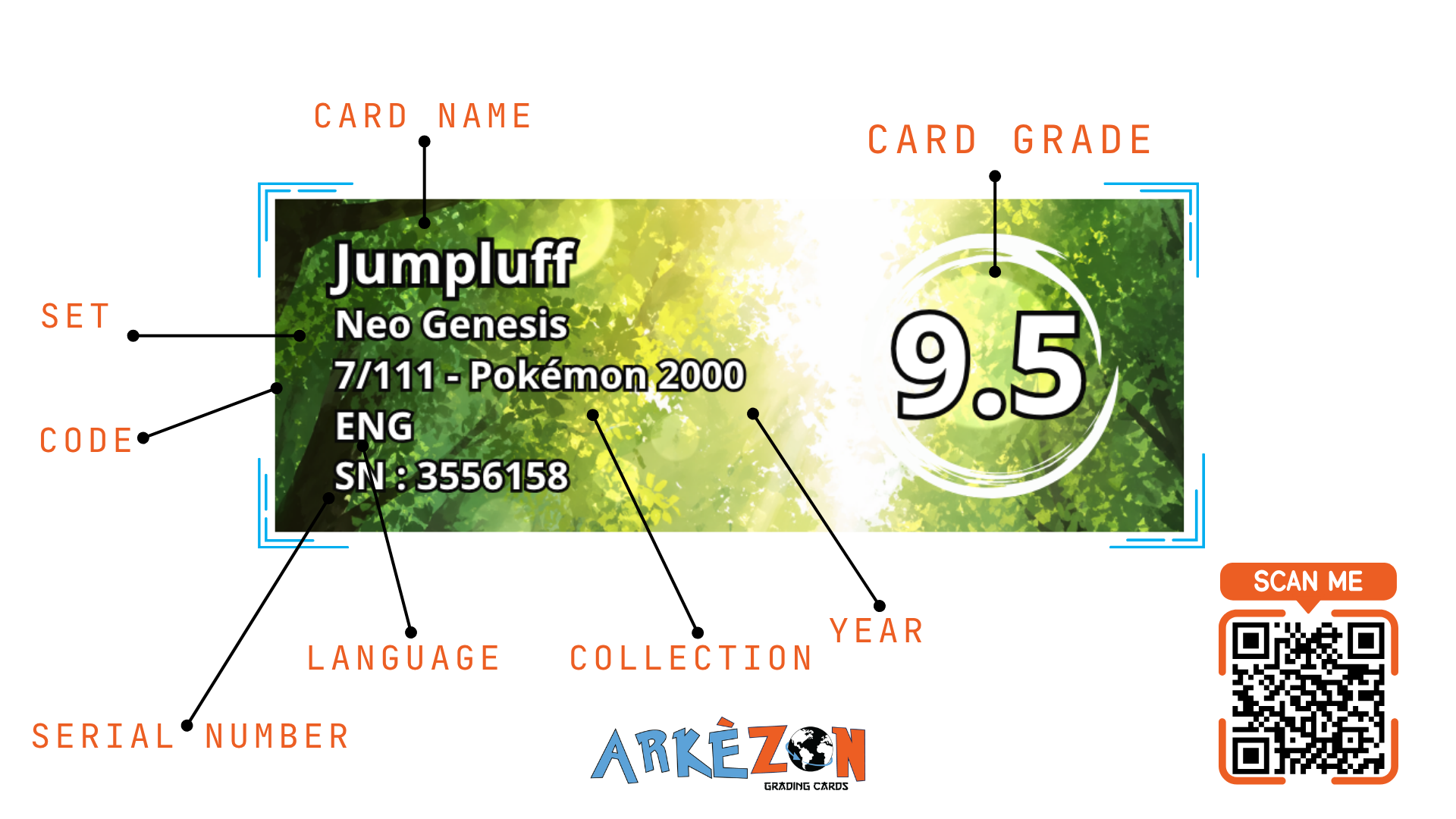 3556158 - Jumpluff - 7/111 - 9.5
