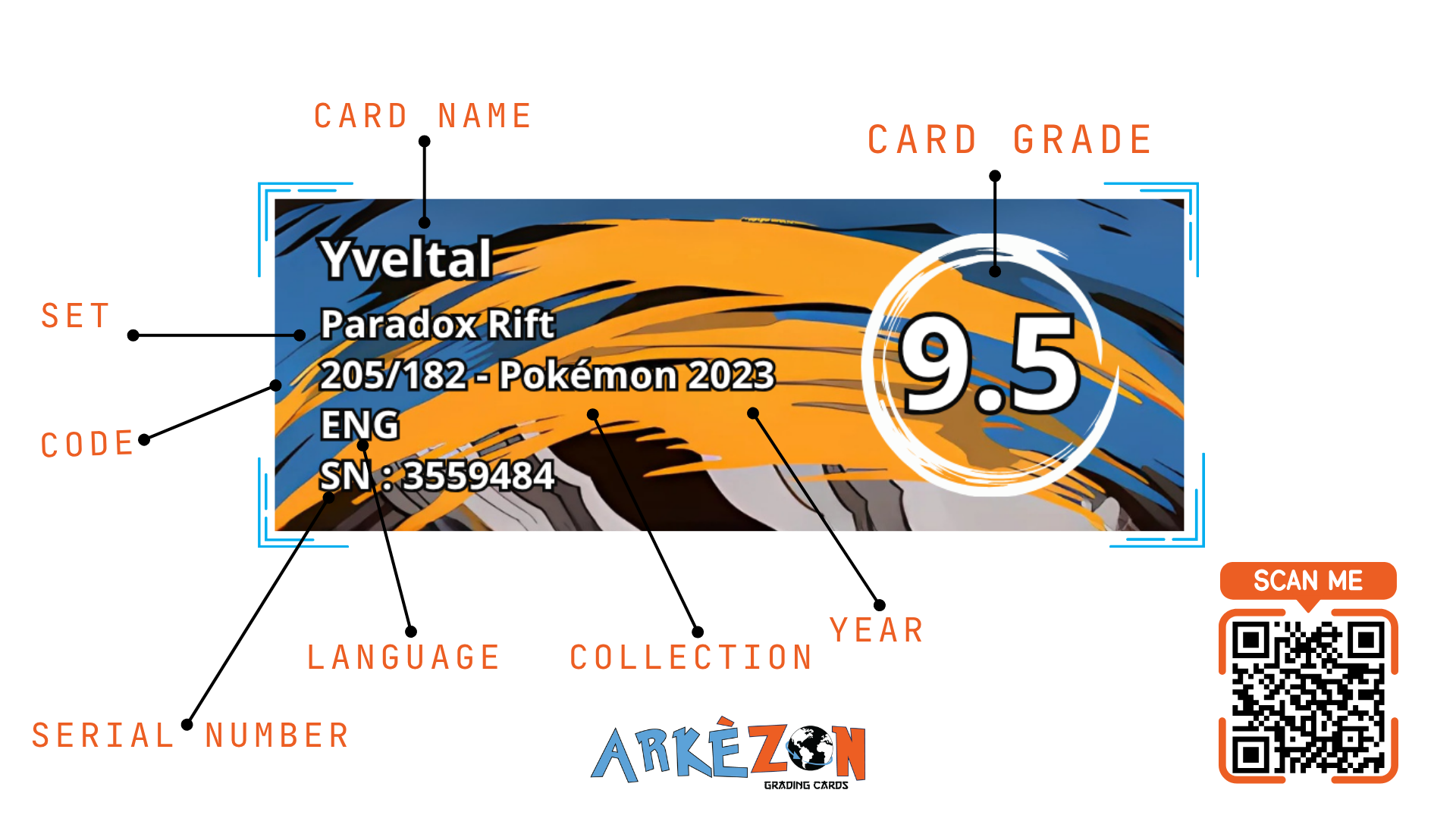 3559484 - Yveltal - 205/182 - 9.5