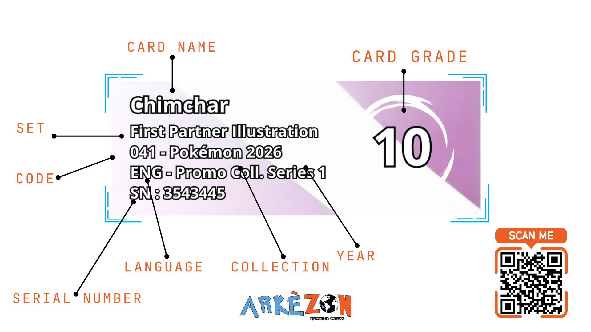 3543445 - Chimchar - 041 - 10