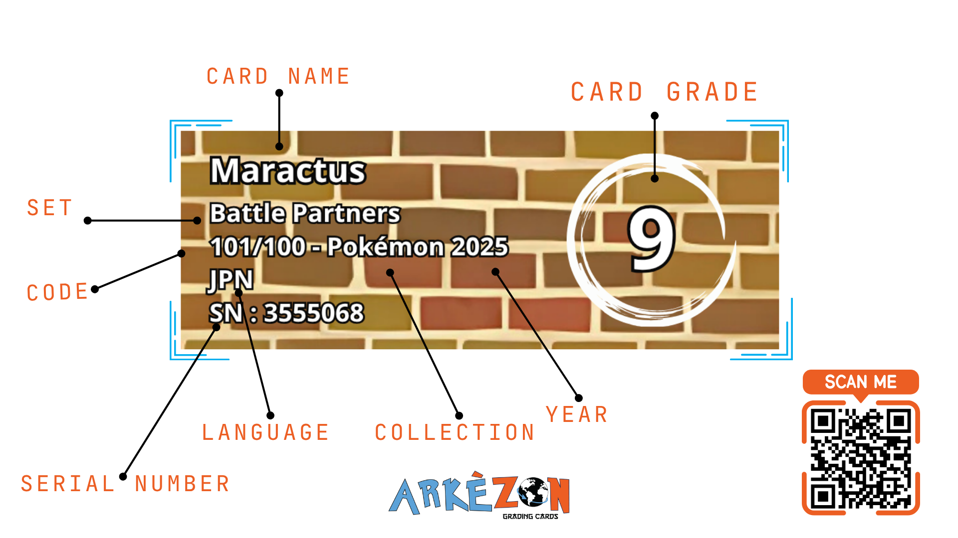 3555068 - Maractus - 101/100 - 9
