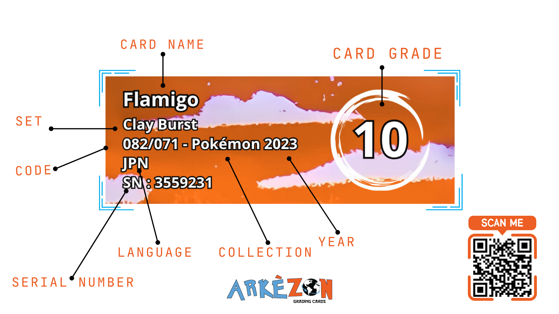 3559231 - Flamigo - 082/071 - 10