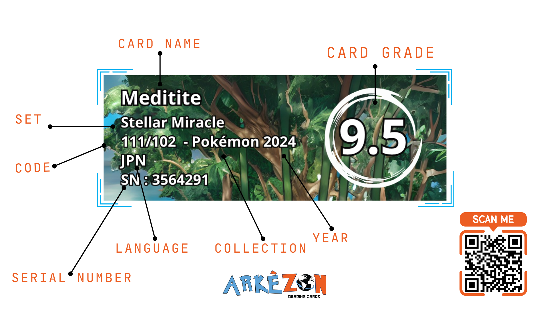 3554291 - Meditite - 111/102 - 9.5