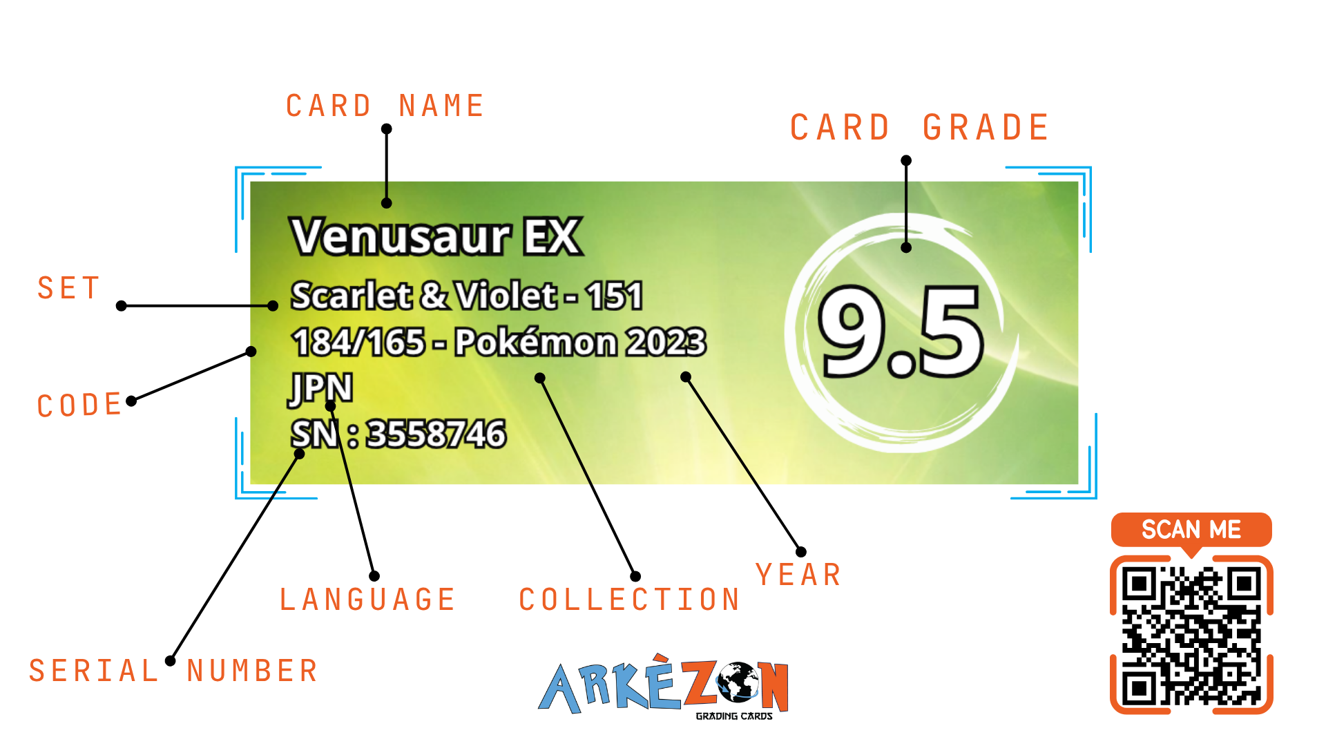3558746 - Venusaur EX - 184/165 - 9.5