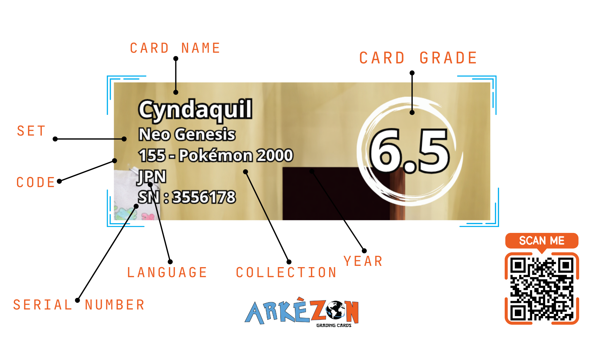 3556178 - Cyndaquil - 155 - 6.5