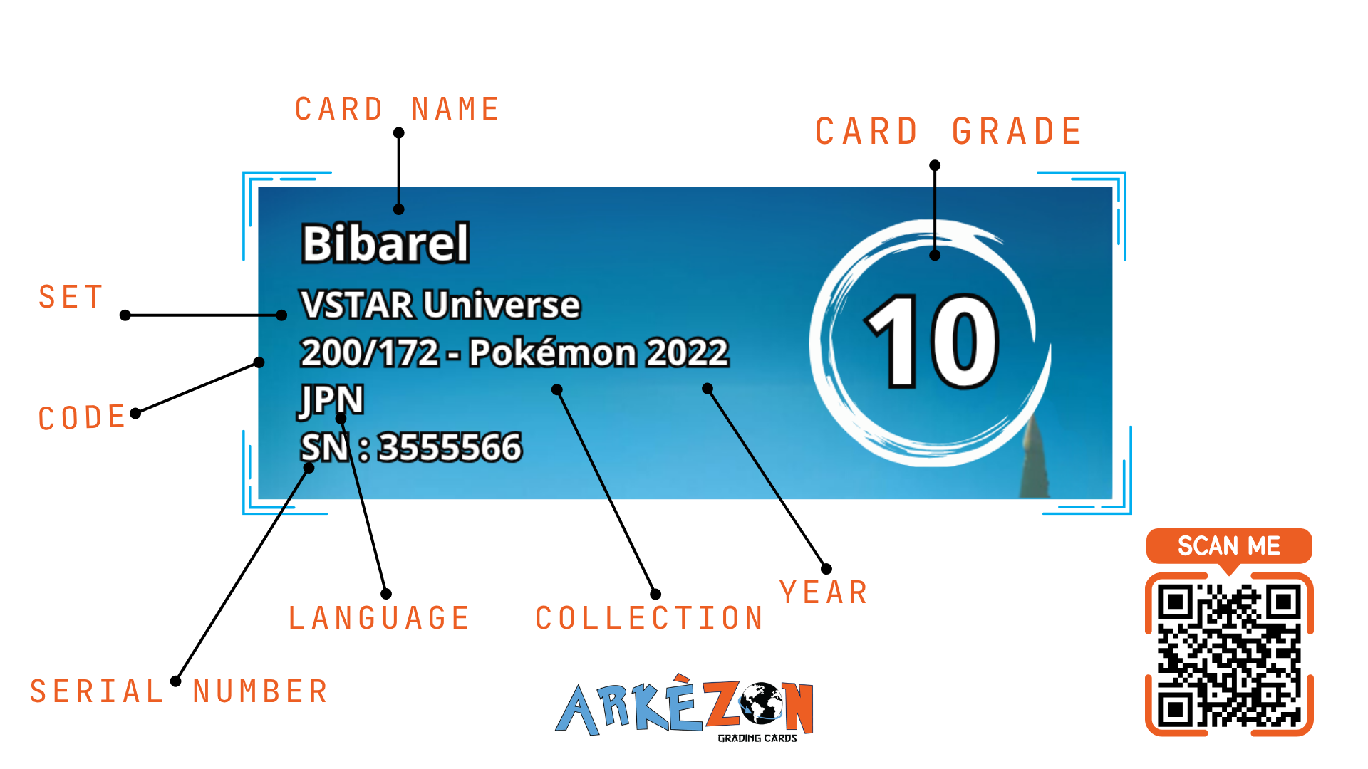 3555566 - Bibarel - 200/172 - 10