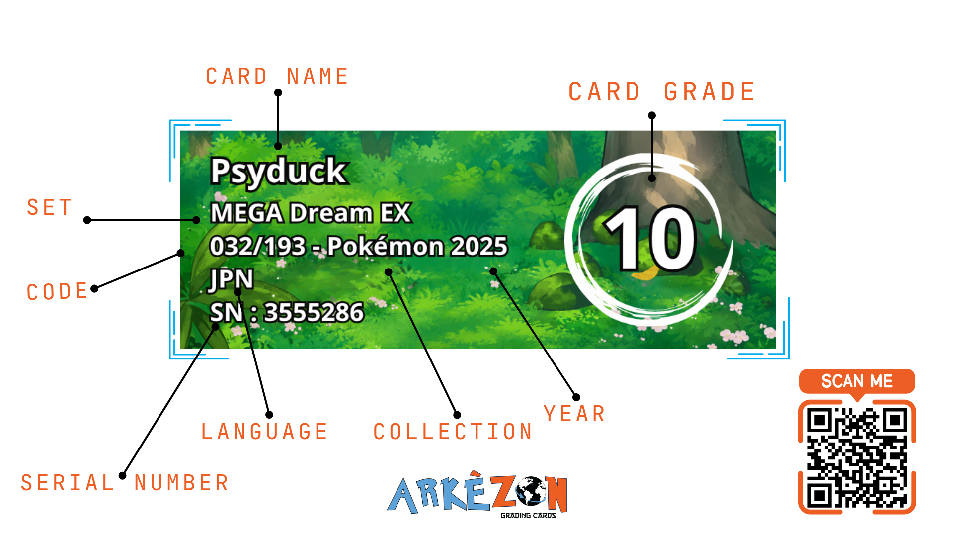 3555286 - Psyduck - 032/193 - 10