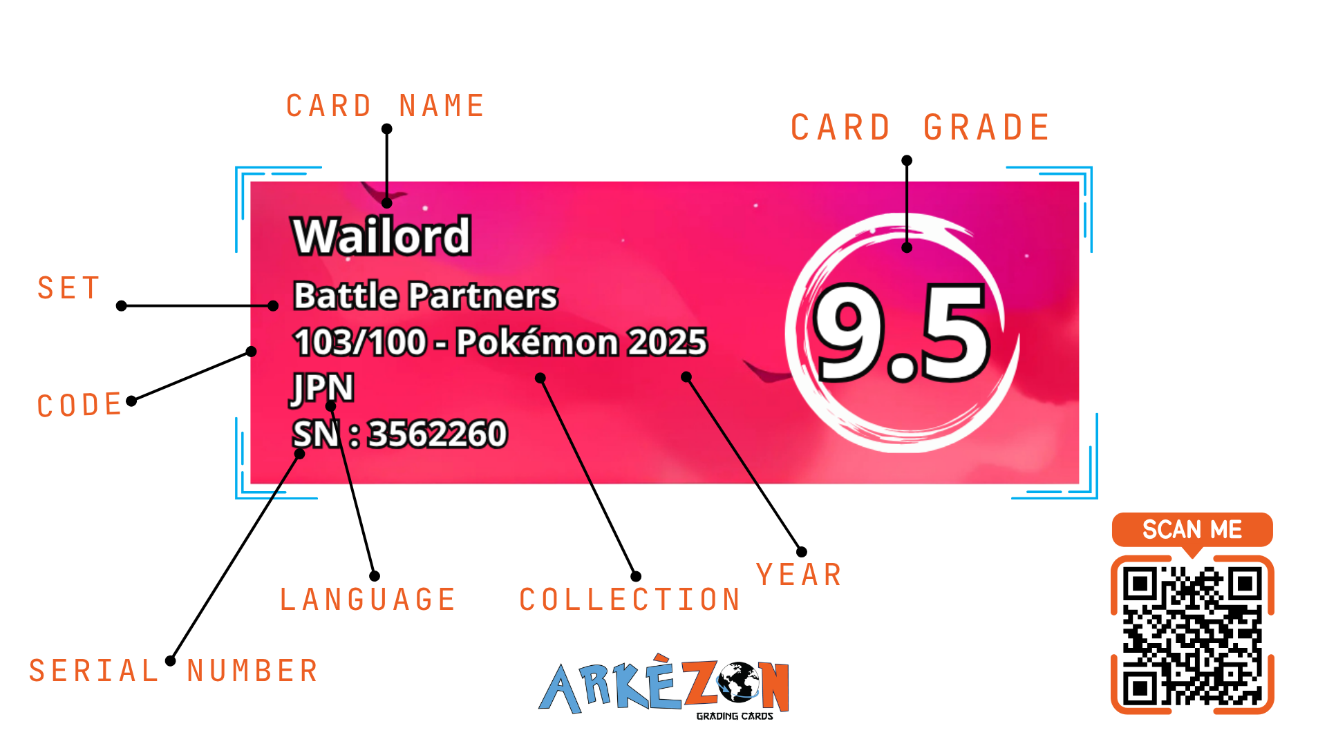 3562260 - Wailord - 103/100 - 9.5