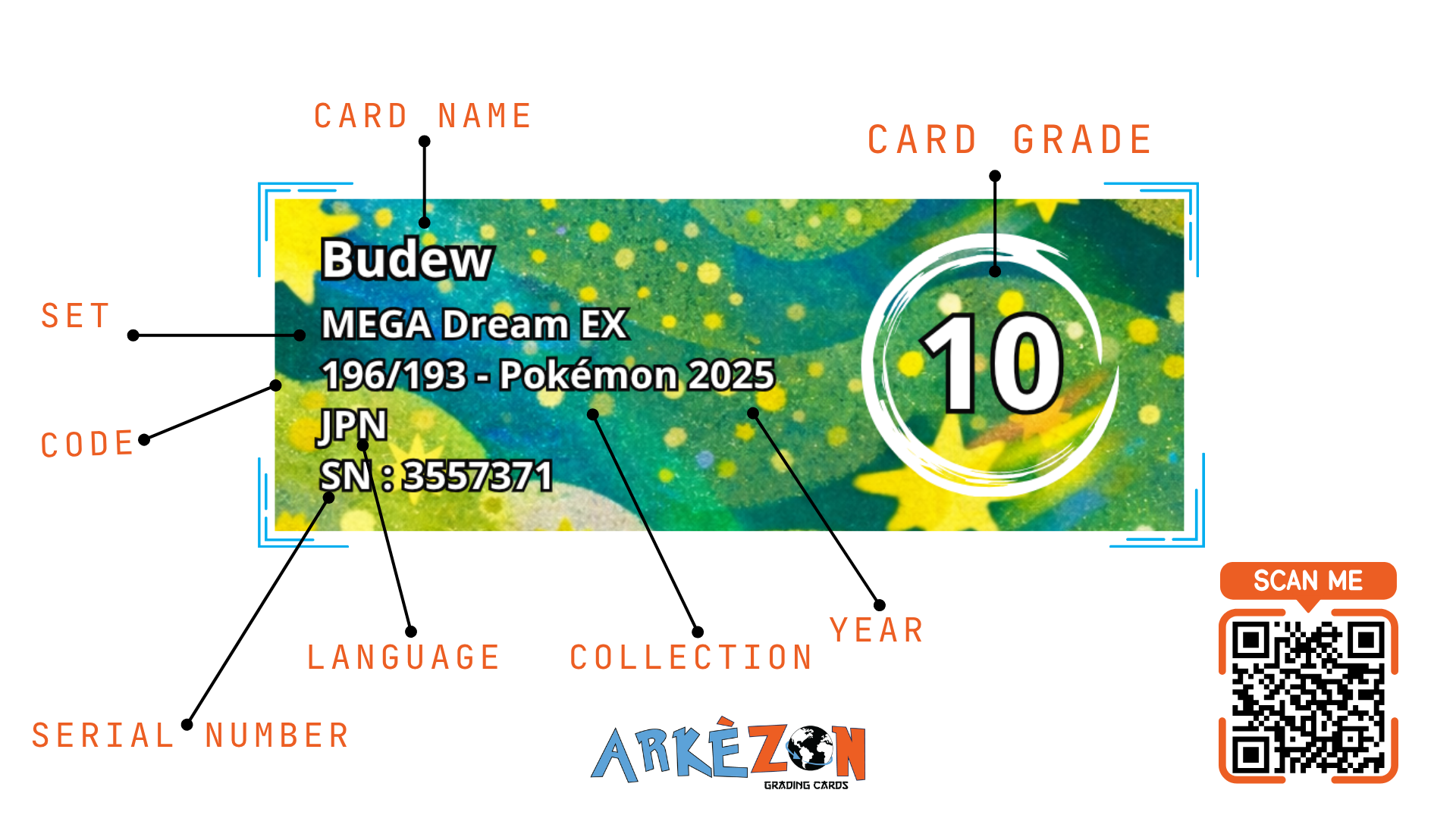 3557371 - Budew - 196/193 - 10