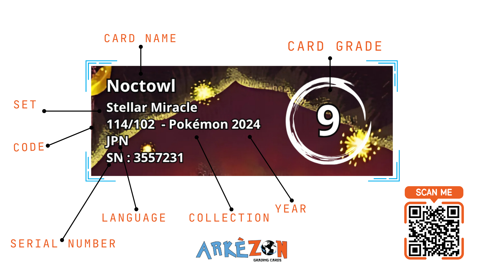 3557231 - Noctowl - 114/102 - 9