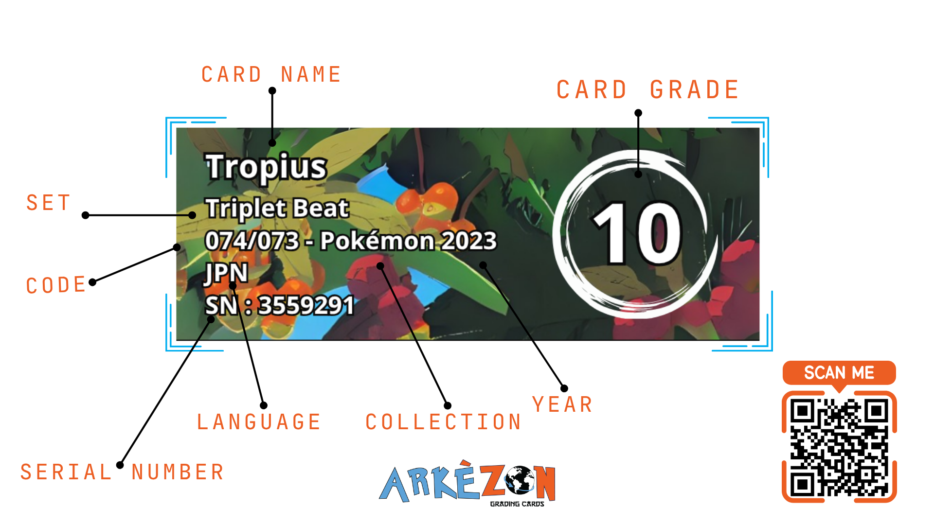 3559291 - Tropius - 074/073 - 10