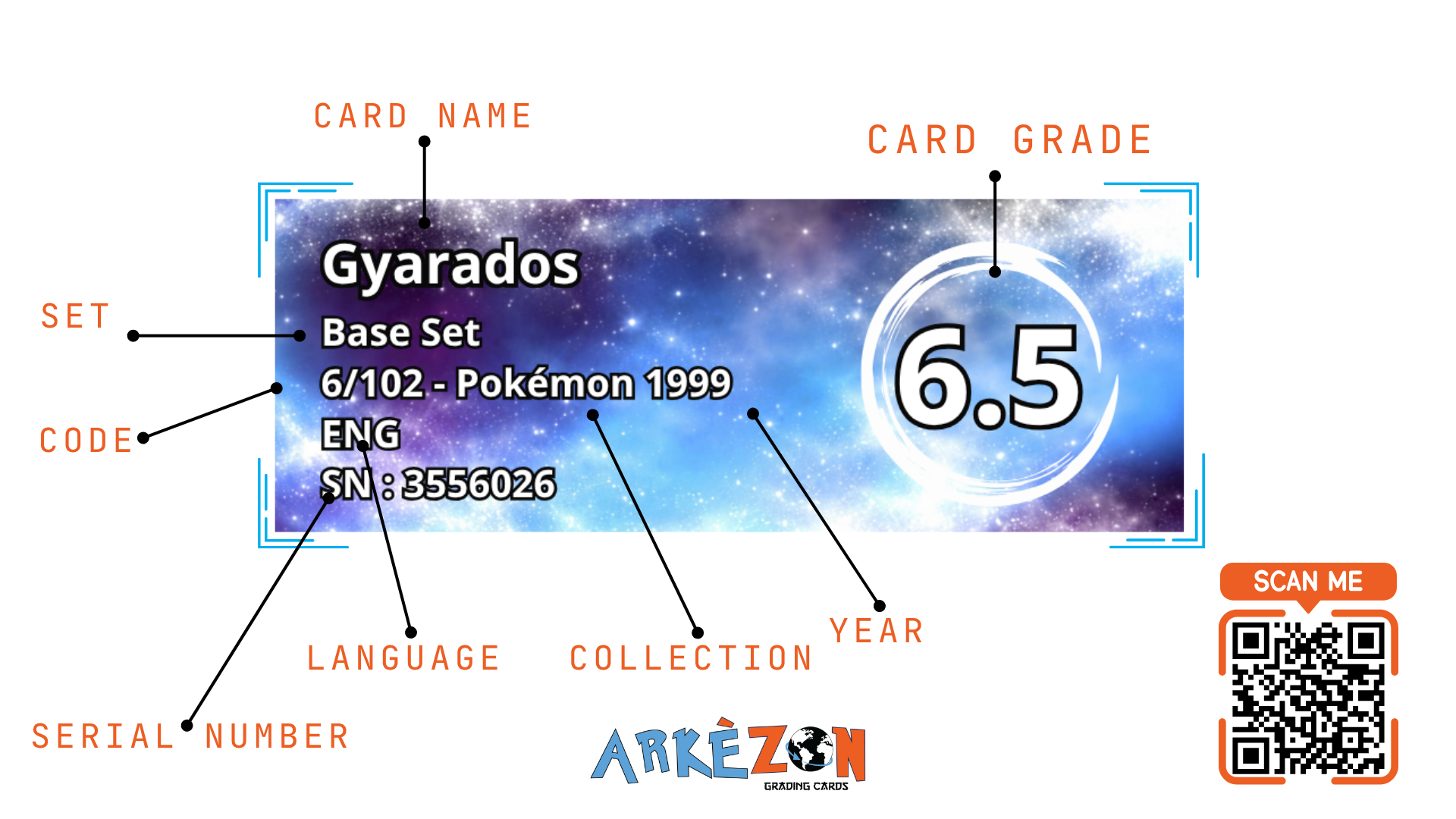 3556026 - Gyarados - 6/102 - 6.5