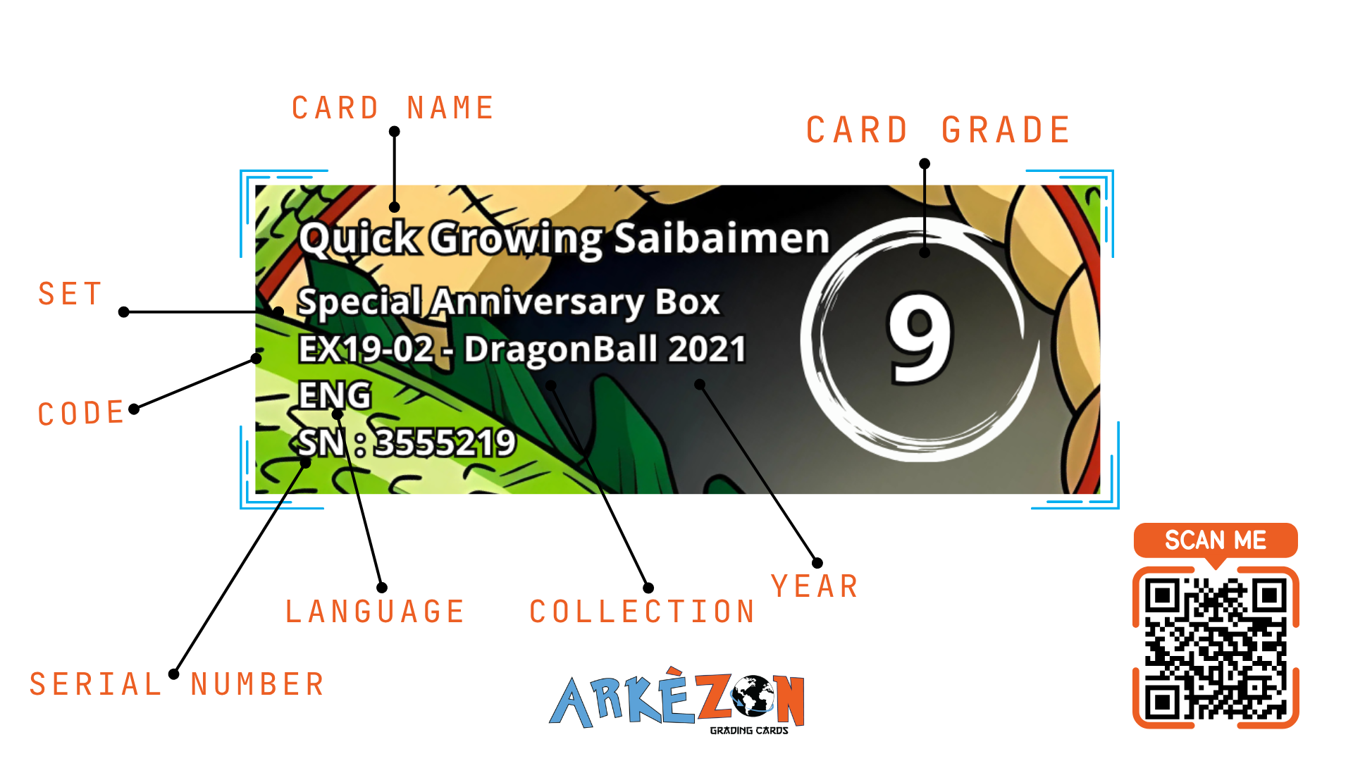 3555219 - Quick Growing Saibaimen - EX19-02 - 9