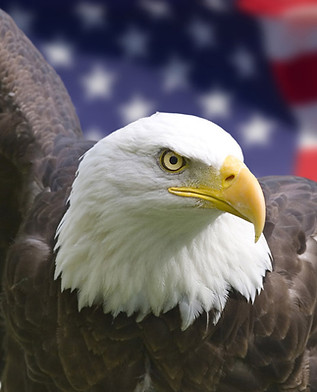 America