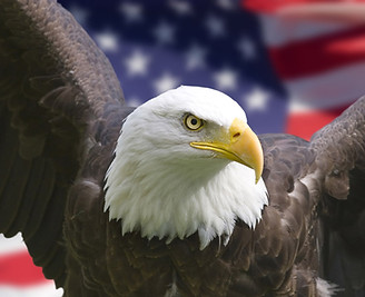 America
