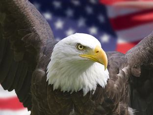 米国を分断してるのは表に出てきた社会主義だ。主義は洗脳だ早く主義洗脳を解け。