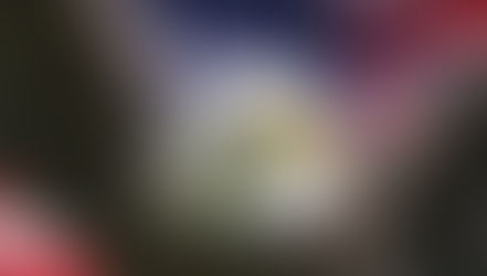 בניית אתרים לישראלים בארצות הברית