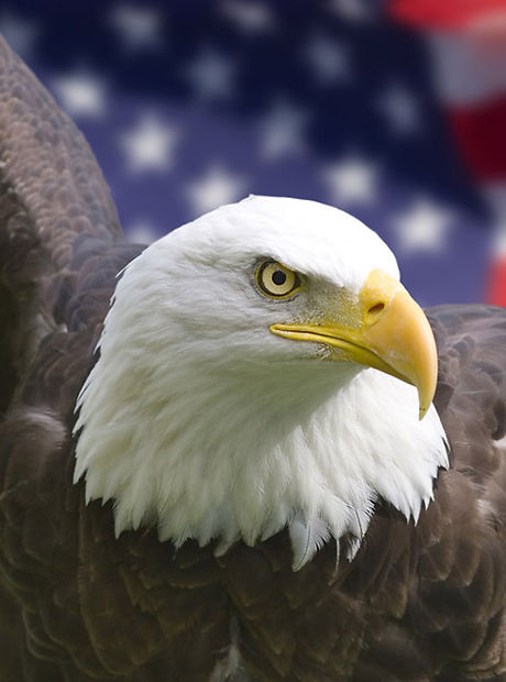 America