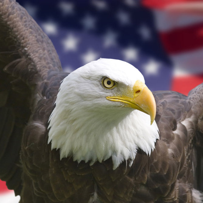 America