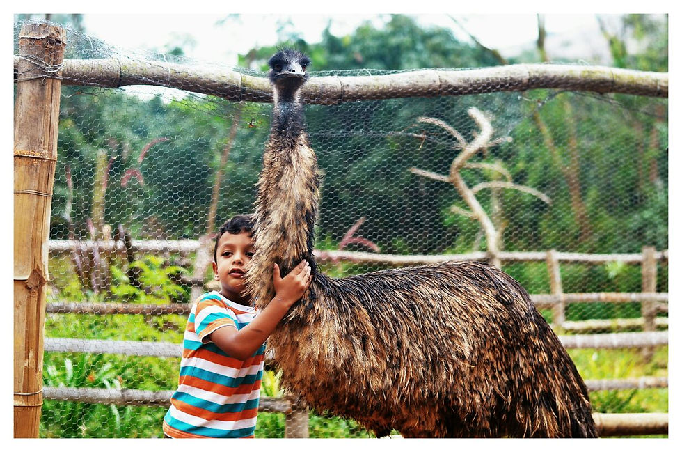 emu hug.jpg