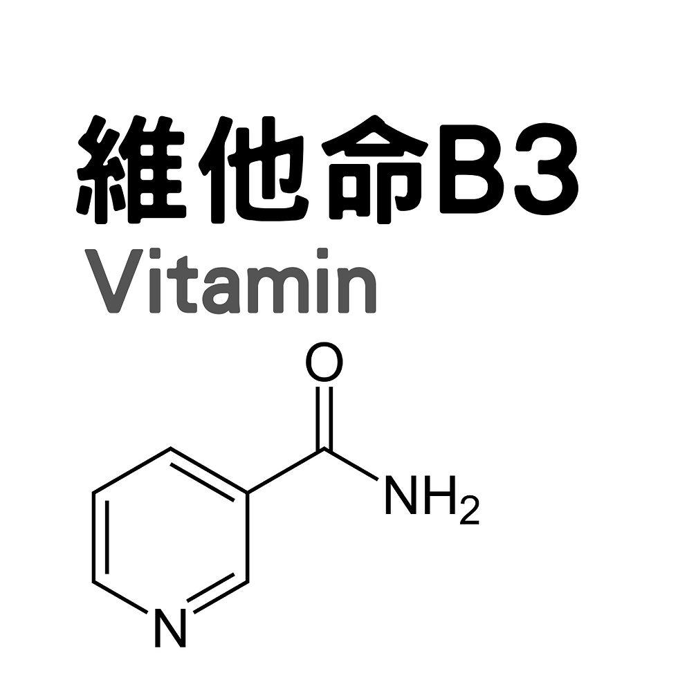 維他命 B3