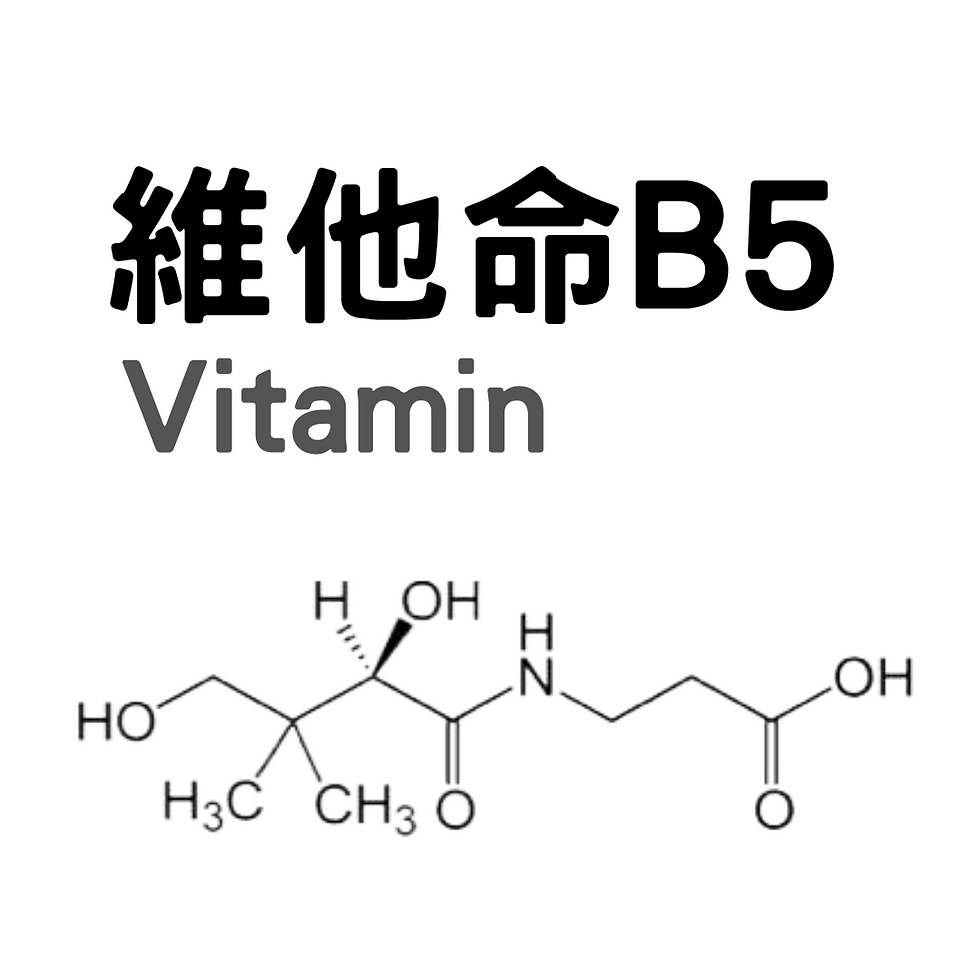維他命 B5