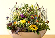 Blumen zum Abschied.jpg.png