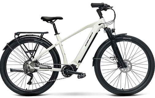 VAM GT 29 relax_edited.jpg