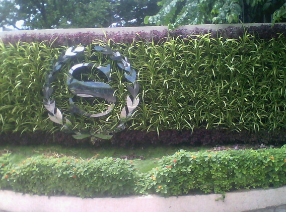 Vertimax Biowall Panel | sanjaynursery