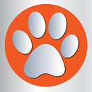 dog_paw.jpg
