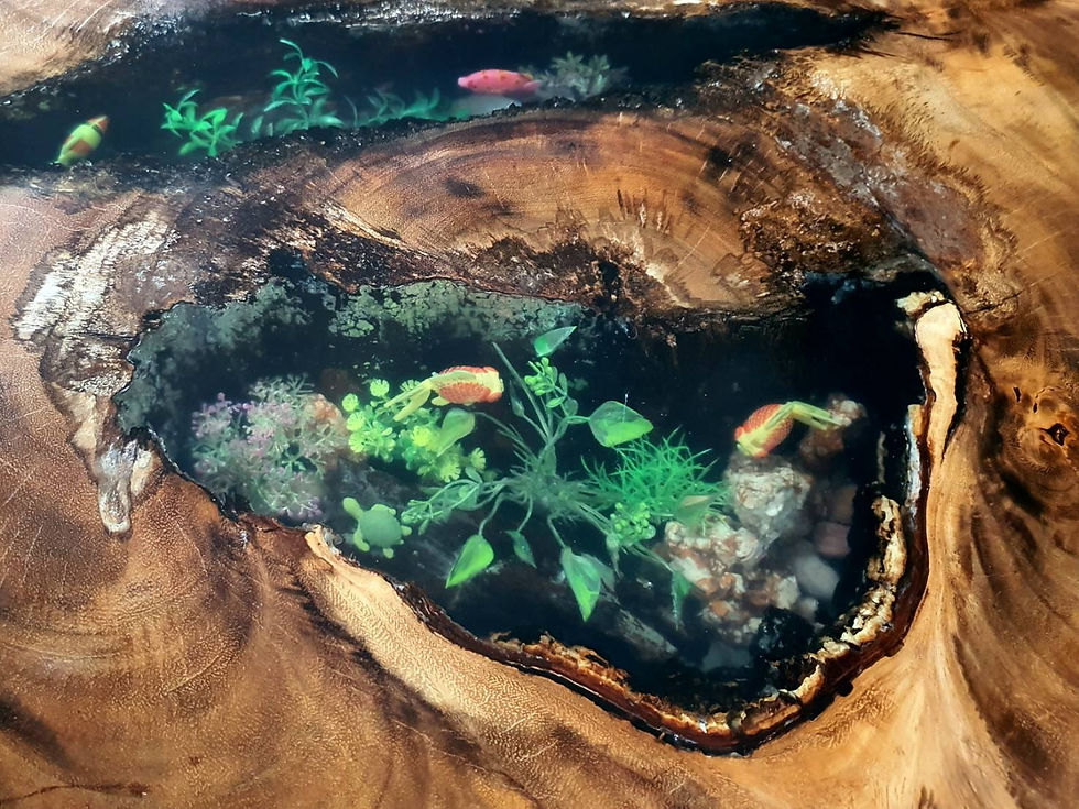 Thumbnail: Coffee table huge acacia slab with 2 natural aquarium pond