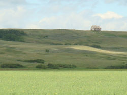 Country Springs Estates