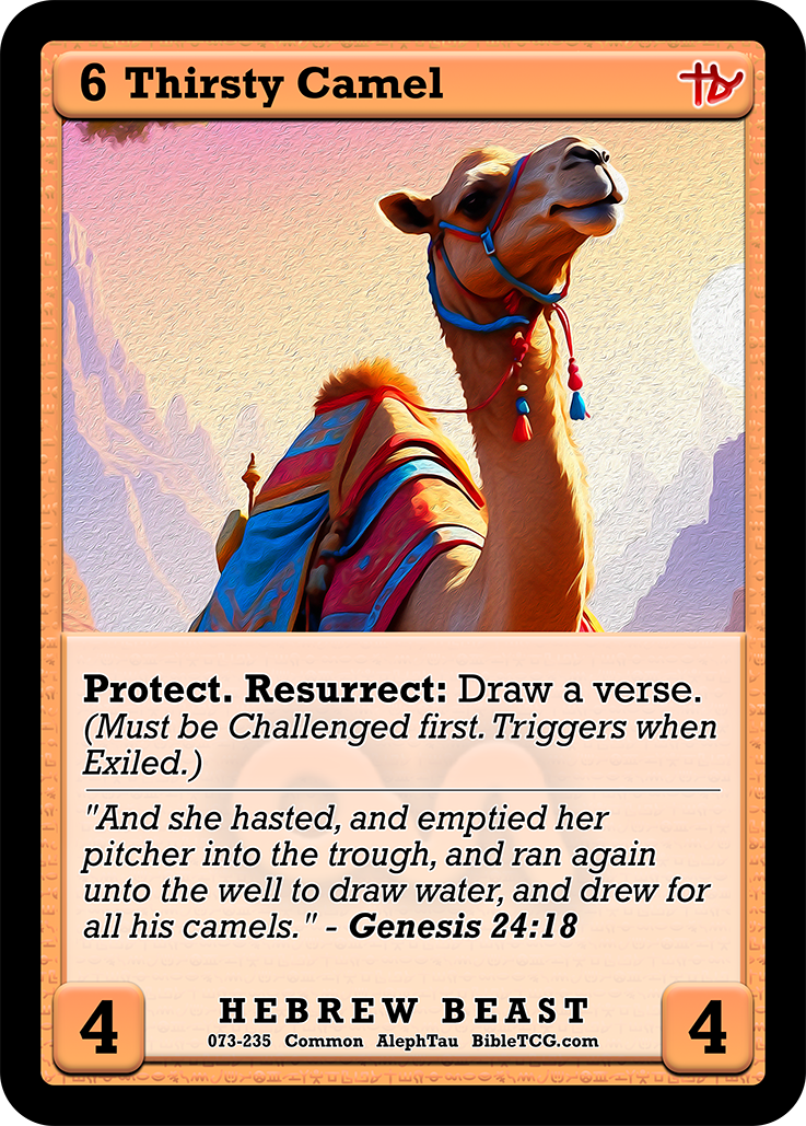 Card Back Christian Bible Trading Card Game Bible TCG