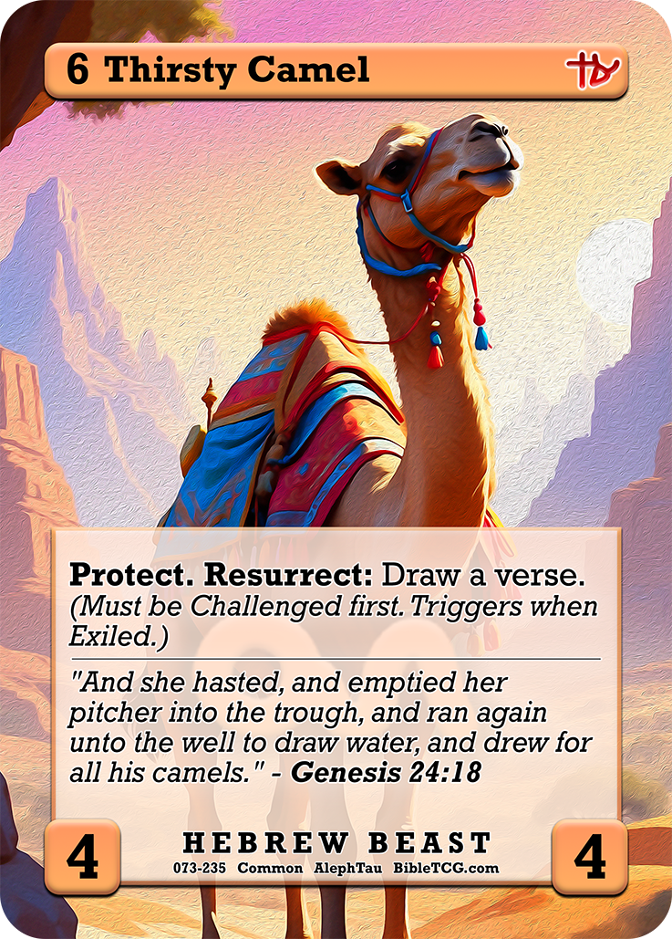 Card Back Christian Bible Trading Card Game Bible TCG