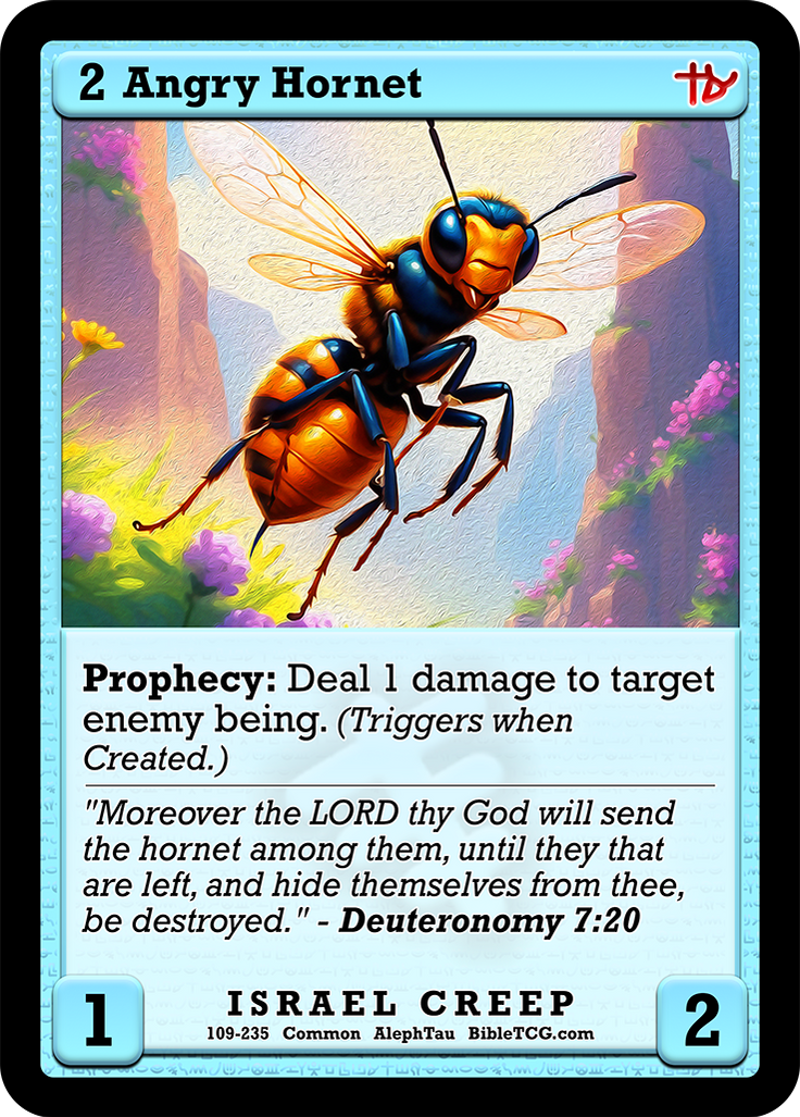 Christian Bible Trading Card Game Bible TCG