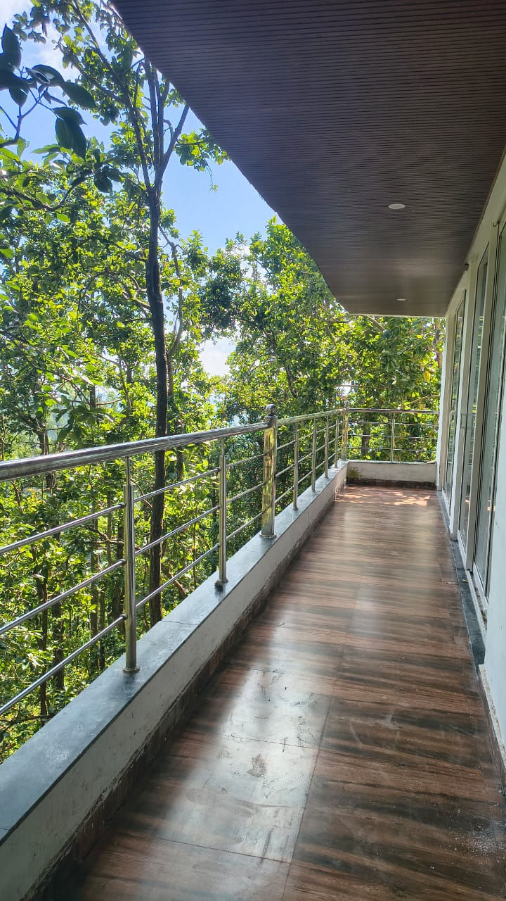 Forest View Balcony.jpeg