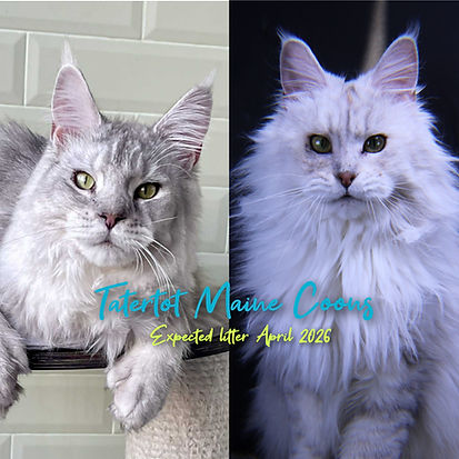 Dorian and Octavia Litter Announcement