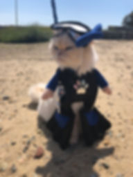 IMG_3946.jpeg