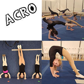 Acro Tag .png