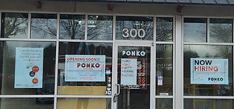 PONKO Duluth Website.jpg