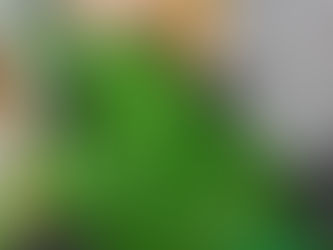 ふらっぷ高陽 忍者トレーニング