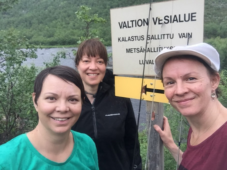 LUVATTOMAT PYYTÄJÄT VIHDOIN KÄRÄJILLE