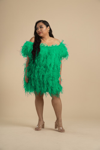 Fte Feather Mini Dress | Plus Size Short Sleeves Special Occasion Custom Formalwear Fte Feather Mini Dress | Plus Size Short Sleeves Special Occasion Custom Formalwear