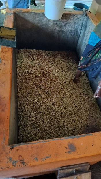 WhatsApp Image 2026-03-22 at 1.25.34 PM.jpeg