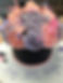 GIANT CUPCAKE 3.jpg