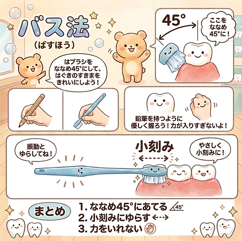 バス法【太洋歯科クリニック】